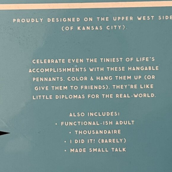 Snarky Velvet Pennant Coloring Kit with 5 Hangable Pennants and 8 Markers (new)x - Picture 12 of 12